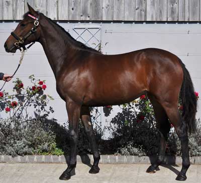 Book1 Lot 20 image